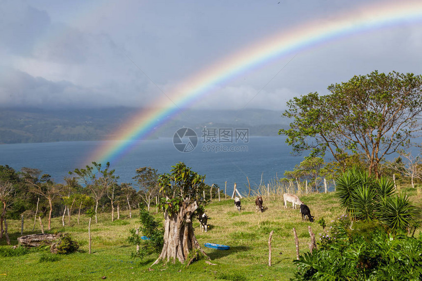 哥斯达黎加宁静的风景图片