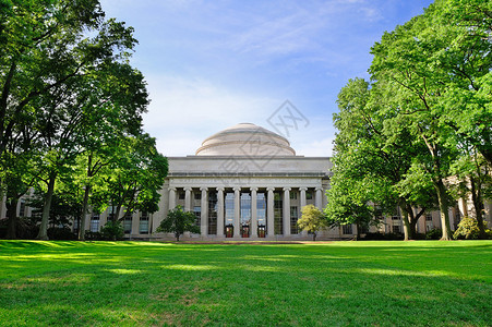 波士顿麻省理工学院校园木和草坪背景图片