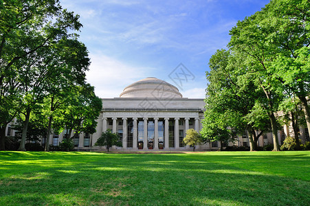 波士顿麻省理工学院校园木和草坪背景图片
