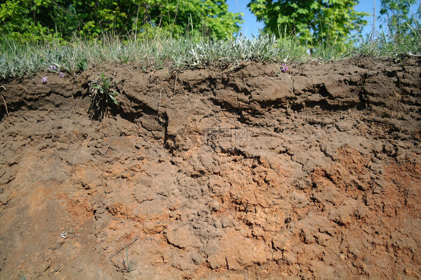 地表下土壤层的详图片