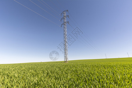麦田里的电线塔背景图片
