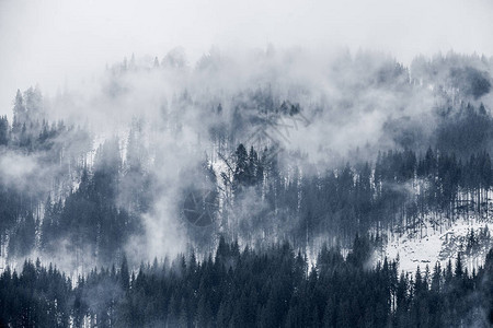 山中美丽的冬季景观日出有雾和雪的喀尔巴阡谷喀尔巴阡山脉的冬天晨光洒图片