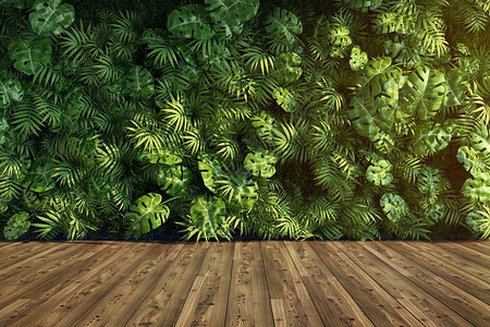 垂直花园墙绿色植物装饰3背景图片