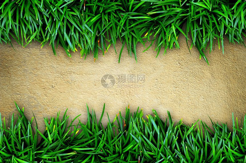 草和混凝土背景图片