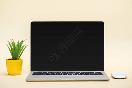 带空白屏幕计算机鼠标和蜜蜂底绿色植物背景图片