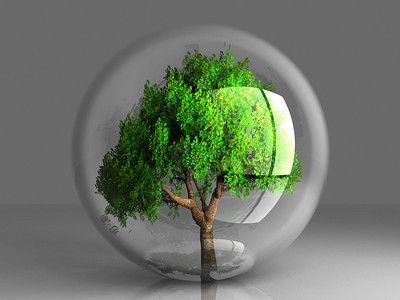 透明气泡中的一棵绿树背景图片
