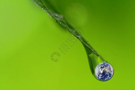 在绿色背景下与内部的雨滴特写图片