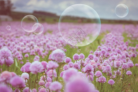 来自泡沫吹泡机的鲜花草地和飞动气泡图片