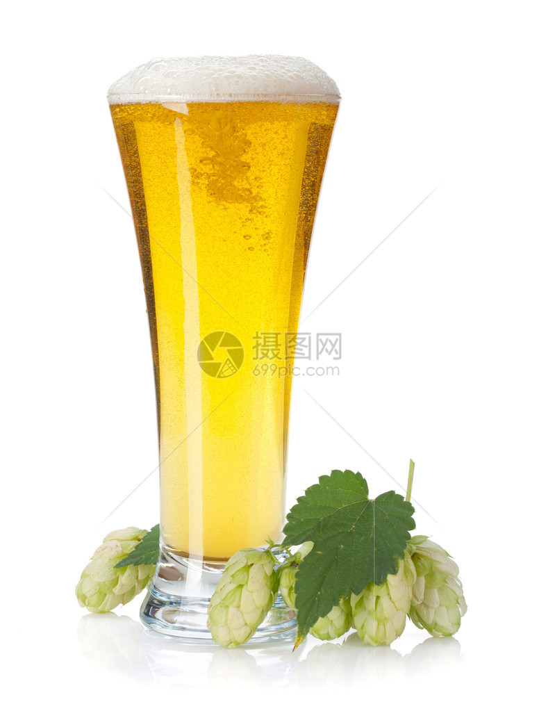 拉格啤酒杯和跳树枝孤图片