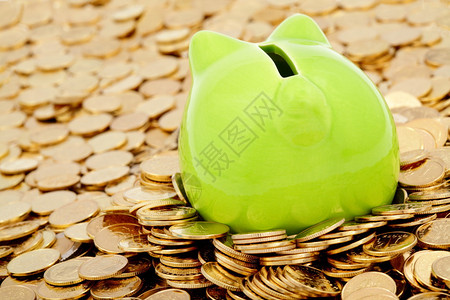 绿色存钱罐和金币海商业图片