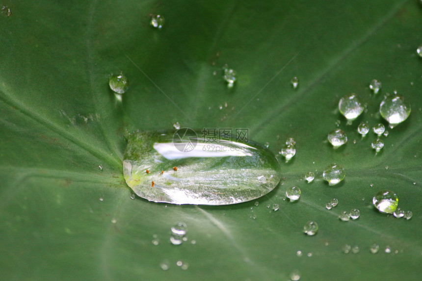 秋天的雨季塔罗图片