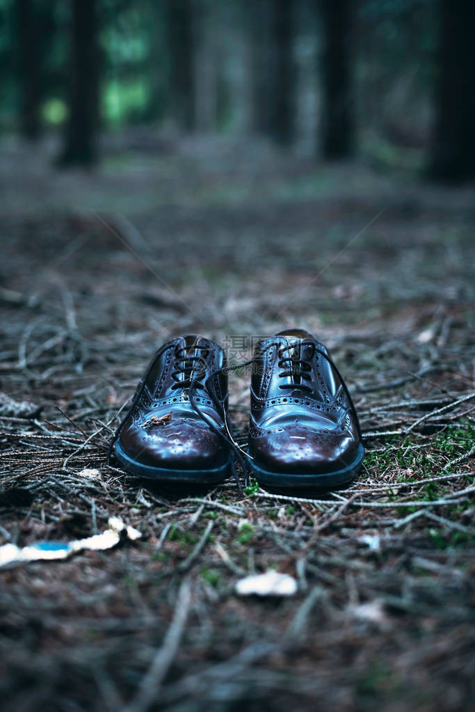 森林路径上的一双男鞋图片