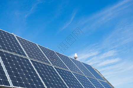 以房顶为主的太阳能电池背景图片