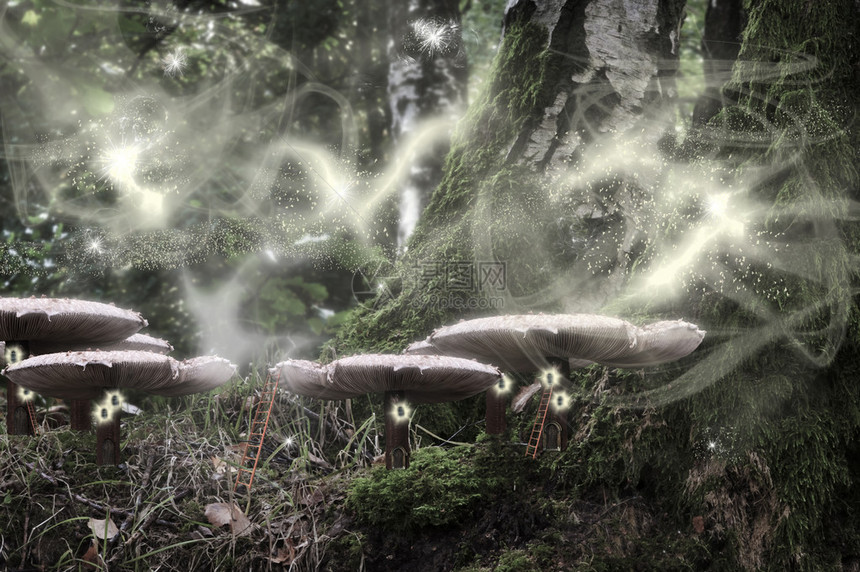 仙子们在夜里在魔法幻想林的蘑菇屋图片