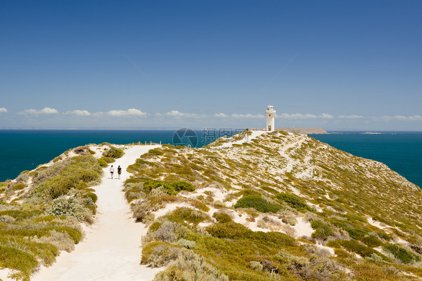 南澳大利亚CapeSpencer灯塔图片