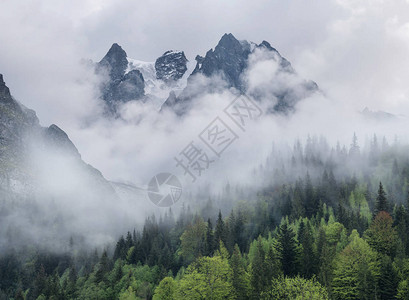 薄雾中的高岩石和森林美图片