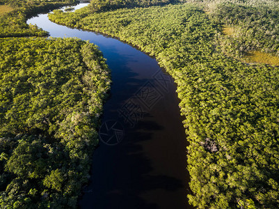 巴西热带雨林河流鸟瞰图图片