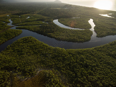巴西热带雨林河流鸟瞰图图片