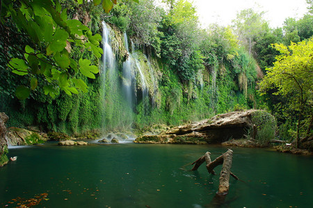 根和水在岩石上流动可以看到瀑布高清图片