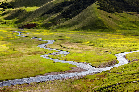哈萨克斯坦天生山高草原小背景图片