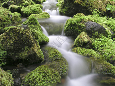 山涧流水图片