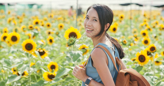 女人参观向日葵田图片