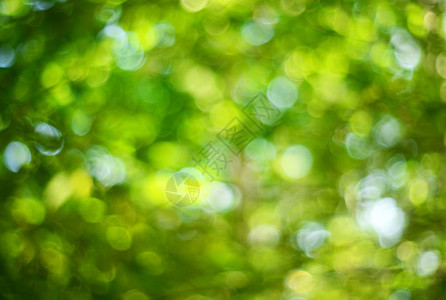 抽象的绿色自然散景背图片