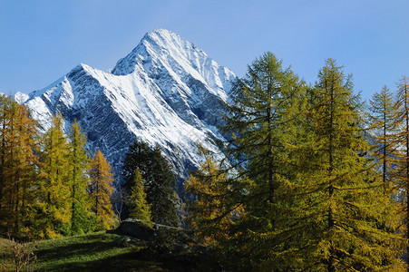 秋季山区地貌充满活力的颜色版意大利背景图片