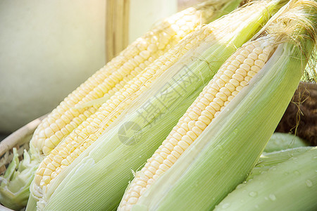 新鲜玉米宏观图象图片