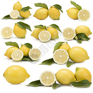 一套伟大的柠檬照片上面有白色背景图片