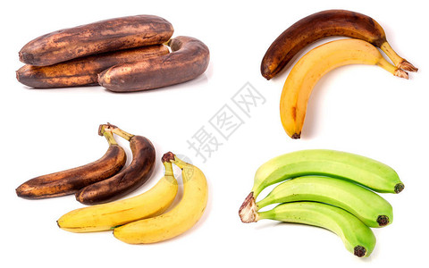 白色背景的不成熟成熟和过份香蕉图片