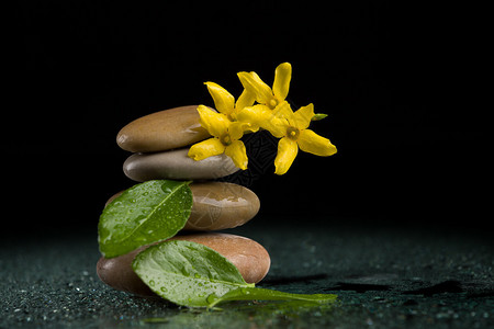 平衡石块和黄花与落水的平衡图片