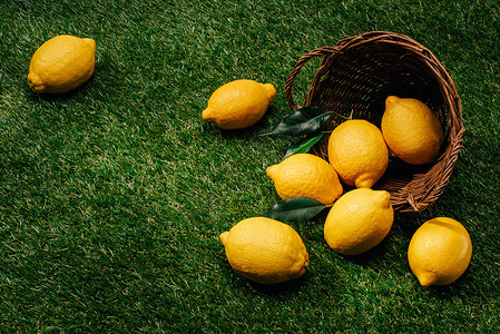 绿色草坪上的柠檬和叶子及柳篮图片