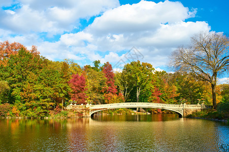 纽约中央公园在秋日图片