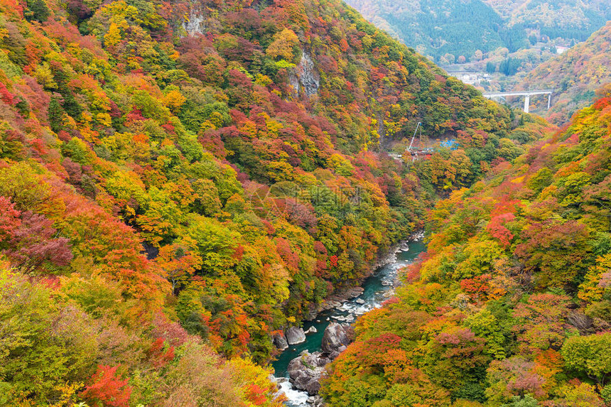 日本鬼怒川的秋景图片