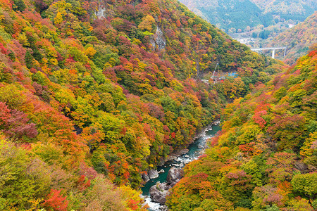日本鬼怒川的秋景图片