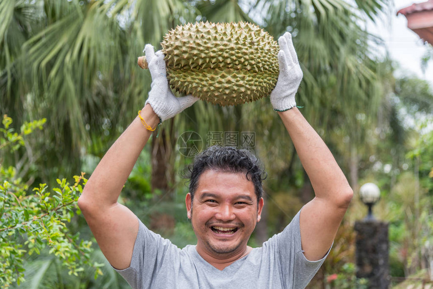 持有榴莲的亚洲男农是泰国的水果之王图片