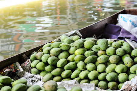 泰国热带水果绿色芒果和图片