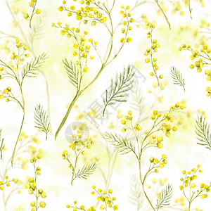 无缝的春天模式Mimosa图片