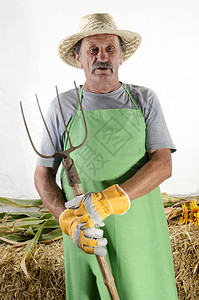 带着干草叉和工作手套的有机农夫图片