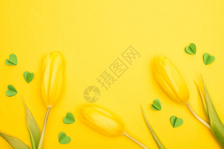 黄背景的郁金香和装饰绿色心的顶部视图片
