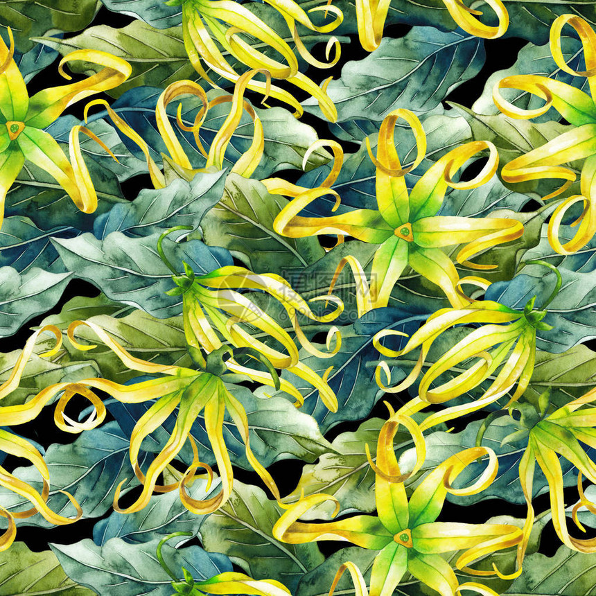 水彩燕朗无缝模式手涂叶子和鲜花草图片