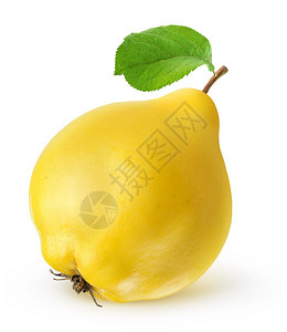 黄色的木瓜图片
