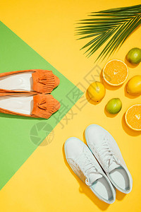 棕榈叶时髦的女鞋和运动鞋柠檬图片