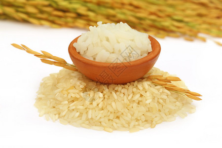 白色背景下的水稻种子图片