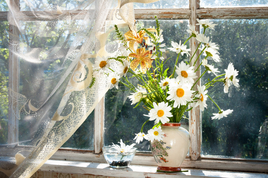 窗台上的洋甘菊花束图片