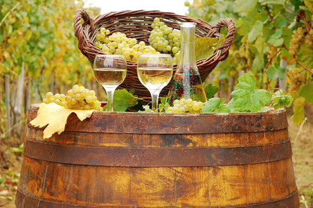 木桶上的白葡萄酒图片