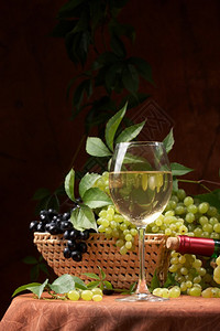 白干葡萄酒新鲜的葡萄串背景