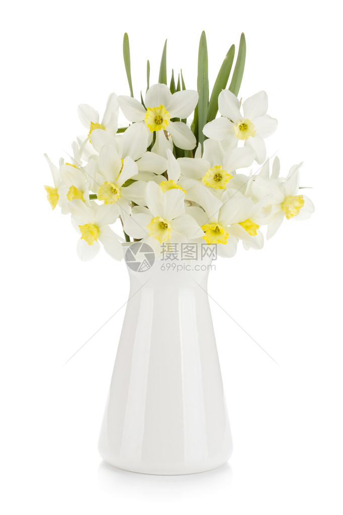 白花水仙的布束孤立图片