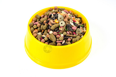 黄色碗中的干猫食品白底隔离图片